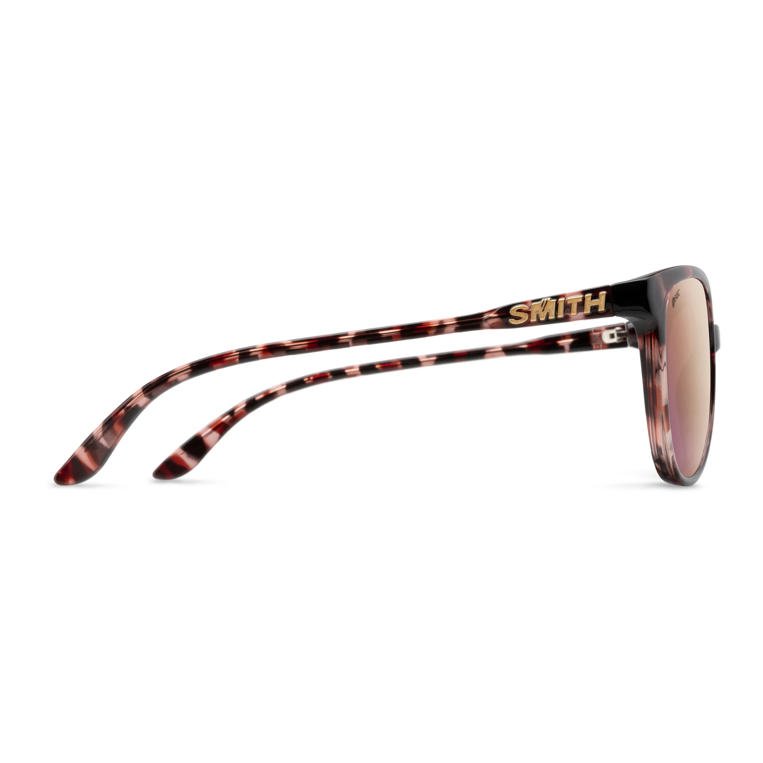 Cheetah | Rose Tortoise - Image 3